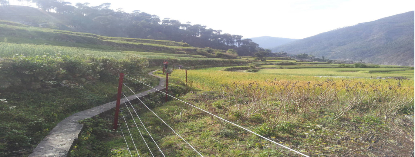 solar fence saving crops from while animals,Uttarkhashi,Uttrakhand Uttarakhand